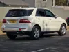 Picture of Windscreen Toyota Passo