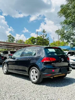Picture of Honda Fit Shuttle 2015