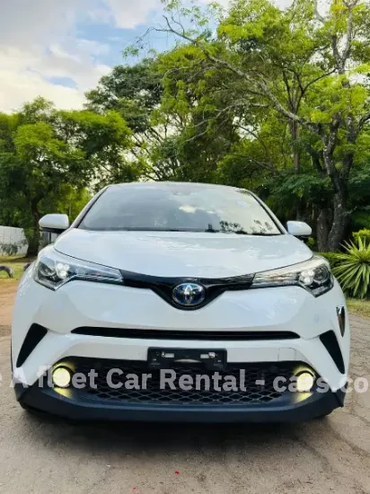 Picture of Car Rental/Car Hire: Honda CR-V (RE), comfy ride