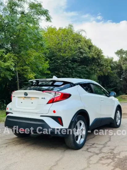 Picture of Car Rental/Car hire: Don't just save fuel, save in style from 40