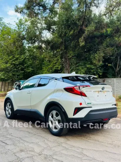 Picture of Car Rental/Car hire: Don't just save fuel, save in style from 40